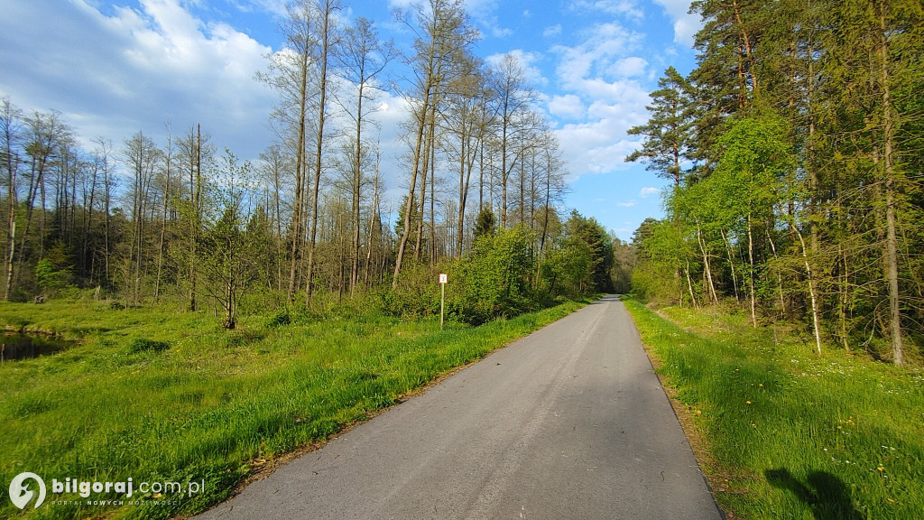 Lasy zrobiły raj dla rowerzystów, rolkowców i biegaczy