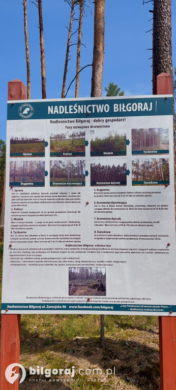 Biłgorajskie 