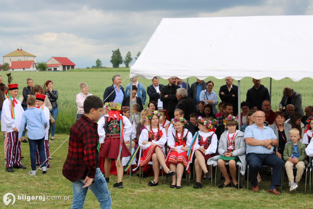 XV Spotkania Akademickie - piknik (FOTO)