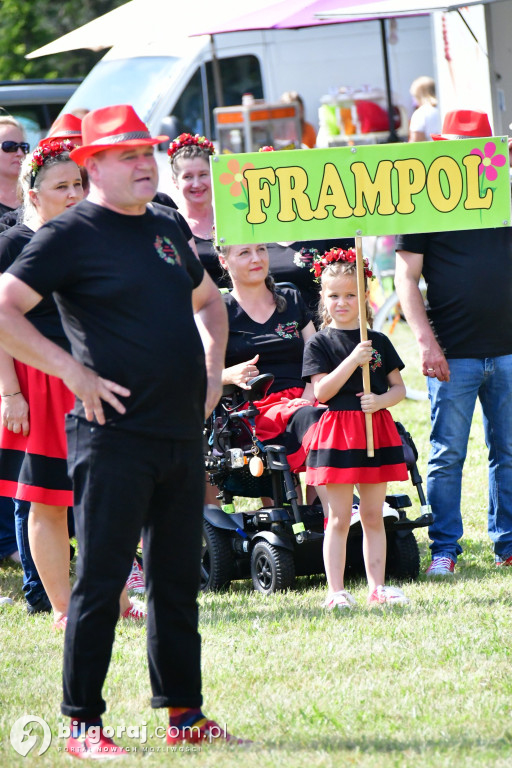 Turniej Miejscowości gminy Frampol