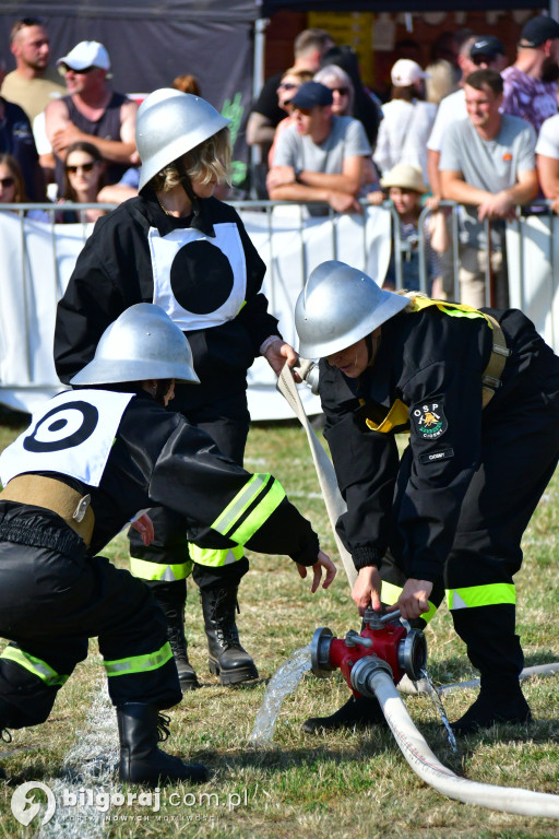 Powiatowe zawody OSP. Druhowie i druhny rywalizowali w Płusach