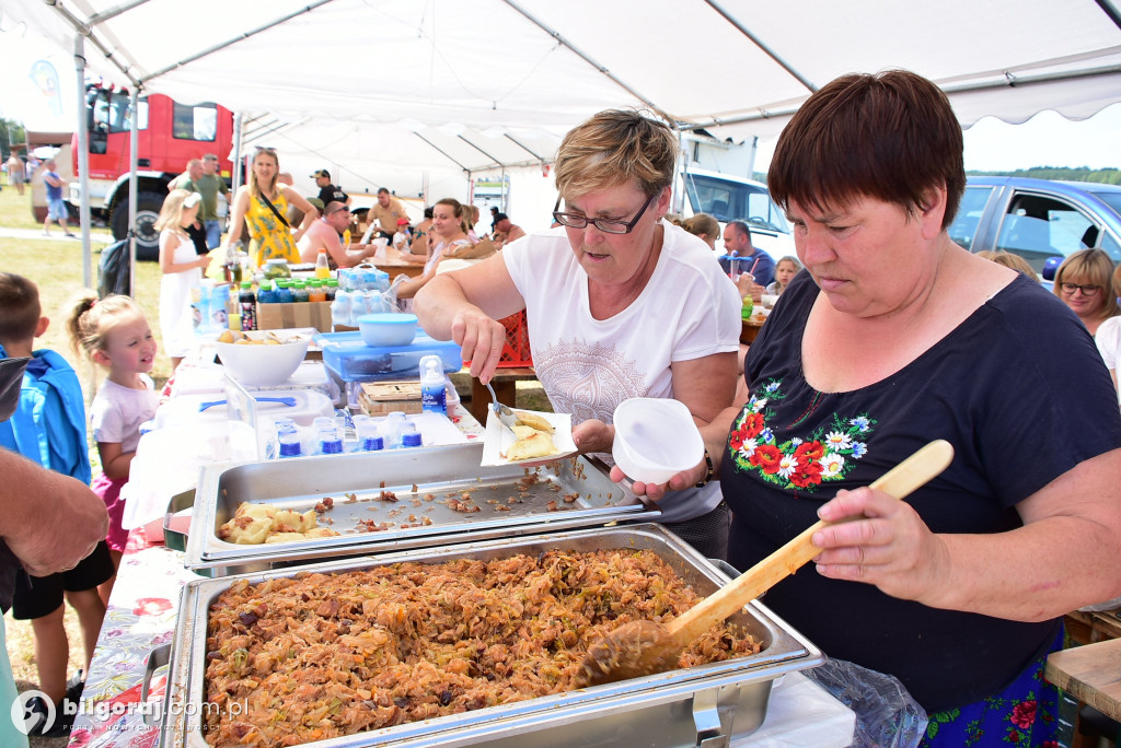 Biszcza. Święto Miodu i Pieroga i... dobrej zabawy