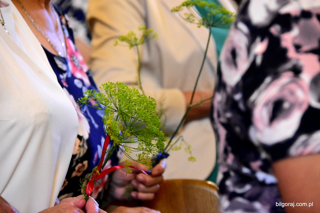 Święcenie kopru dawny zwyczaj kultywowany w powiecie biłgorajskim