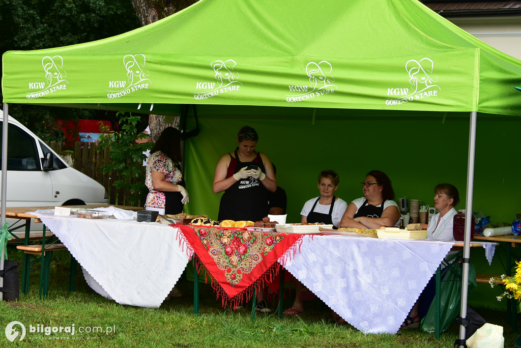 Piknik ekologiczny w Górecku Kościelnym