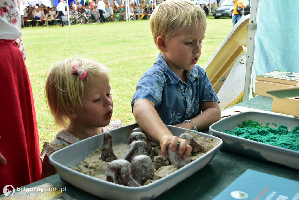Piknik ekologiczny w Górecku Kościelnym