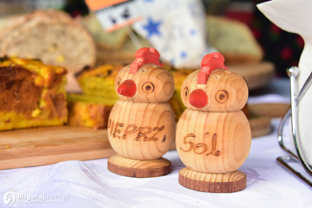 Piknik ekologiczny w Górecku Kościelnym