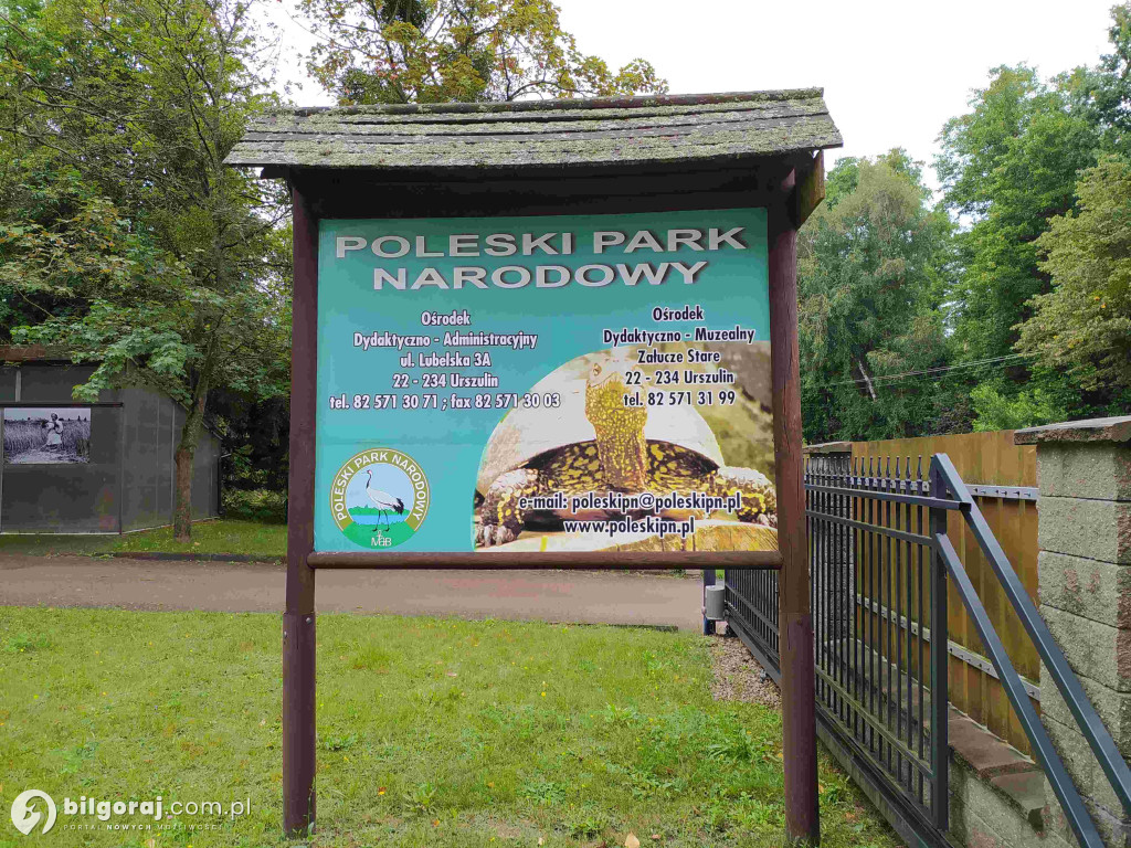 Tak bawili się ojcowie z dziećmi. Odbyła się kolejne Tatowisko