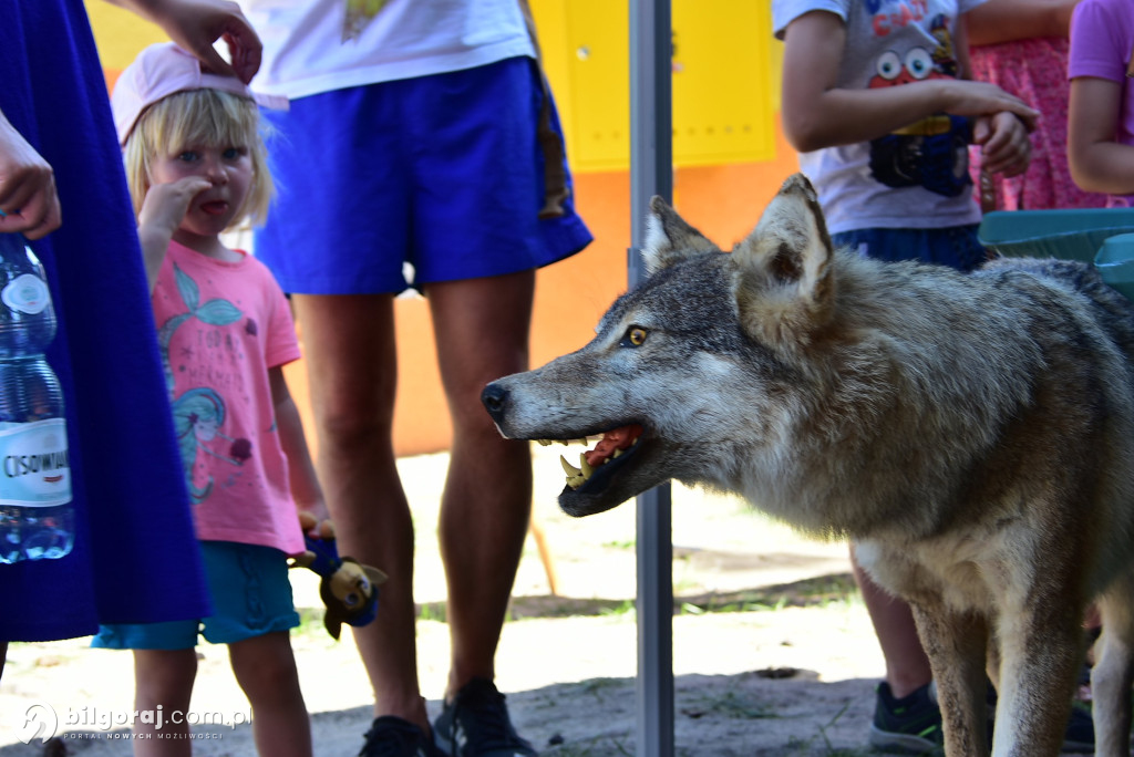 Józefów. XXX Festiwal Kultury Ekologicznej EKO za nami