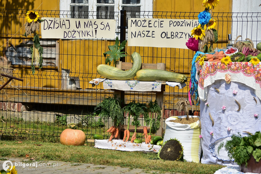 Dożynkowe dekoracje. Rolnikom z naszego powiatu nie brakuje fantazji