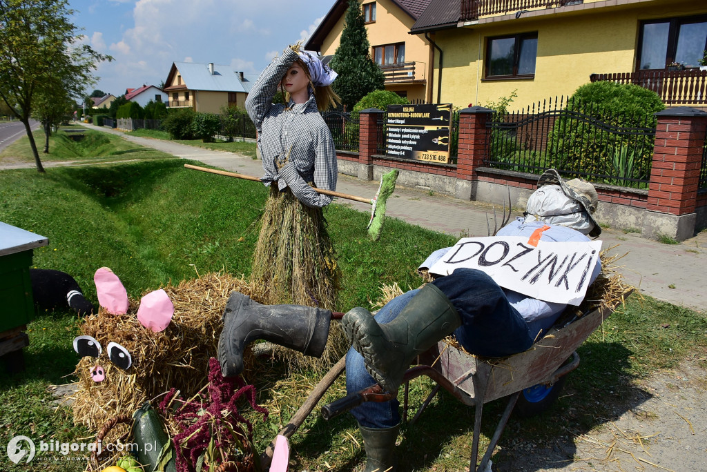 Dożynkowe dekoracje. Rolnikom z naszego powiatu nie brakuje fantazji