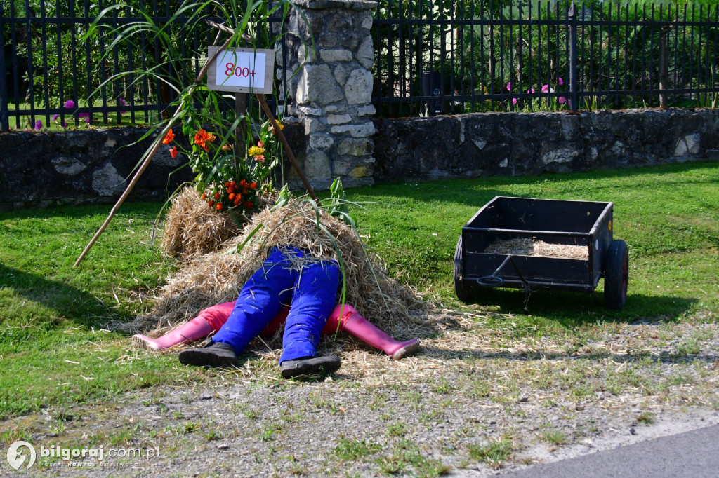 Dożynkowe dekoracje. Rolnikom z naszego powiatu nie brakuje fantazji