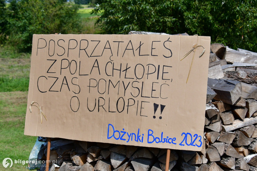 Dożynkowe dekoracje. Rolnikom z naszego powiatu nie brakuje fantazji