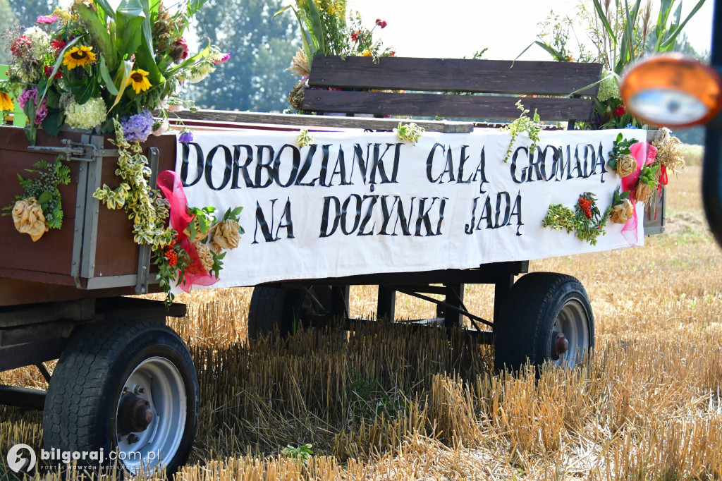 Dożynkowe dekoracje. Rolnikom z naszego powiatu nie brakuje fantazji