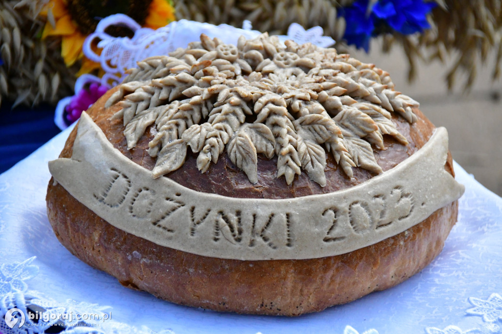 Józefów. Dożynki powiatu biłgorajskiego 2023 - część II
