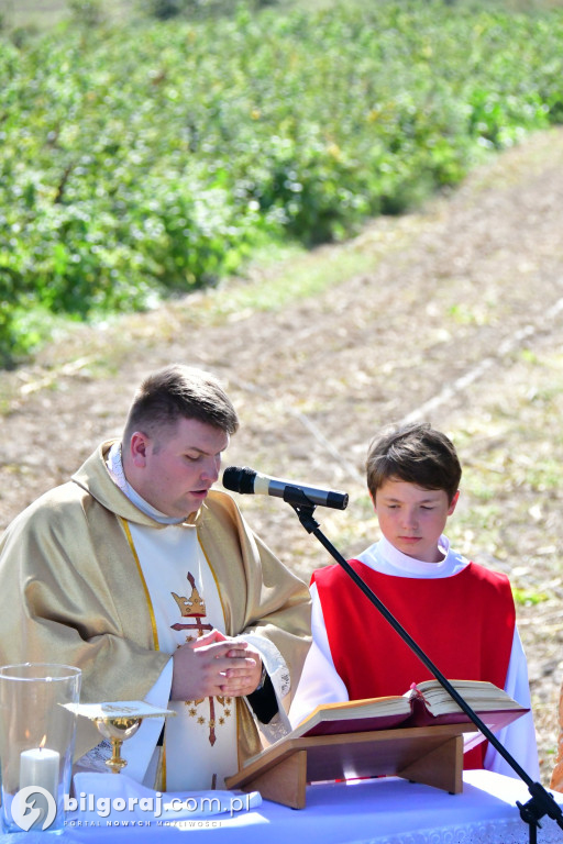 Odnowili krzyż na rozstaju dróg
