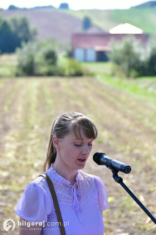 Odnowili krzyż na rozstaju dróg