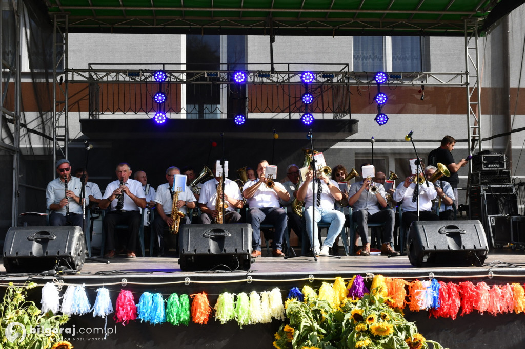 IX Międzygminny Festiwal Muzyki Ludowej im. Anny Malec