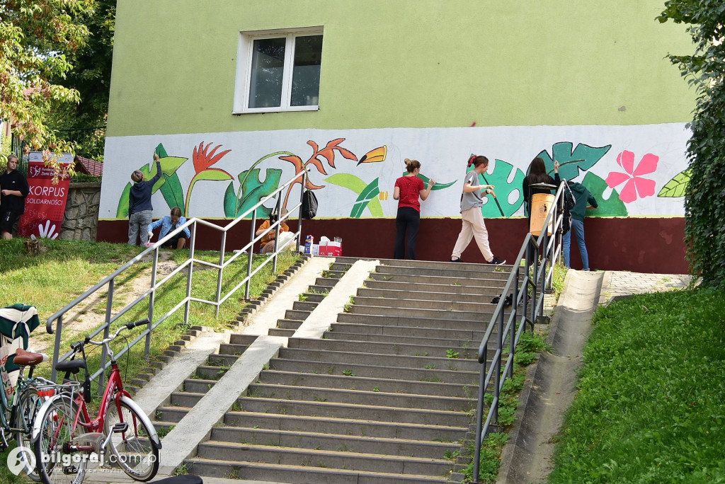 Zamiast wulgaryzmów powstało kolorowe graffiti. Zmalowali je byli uczniowie 