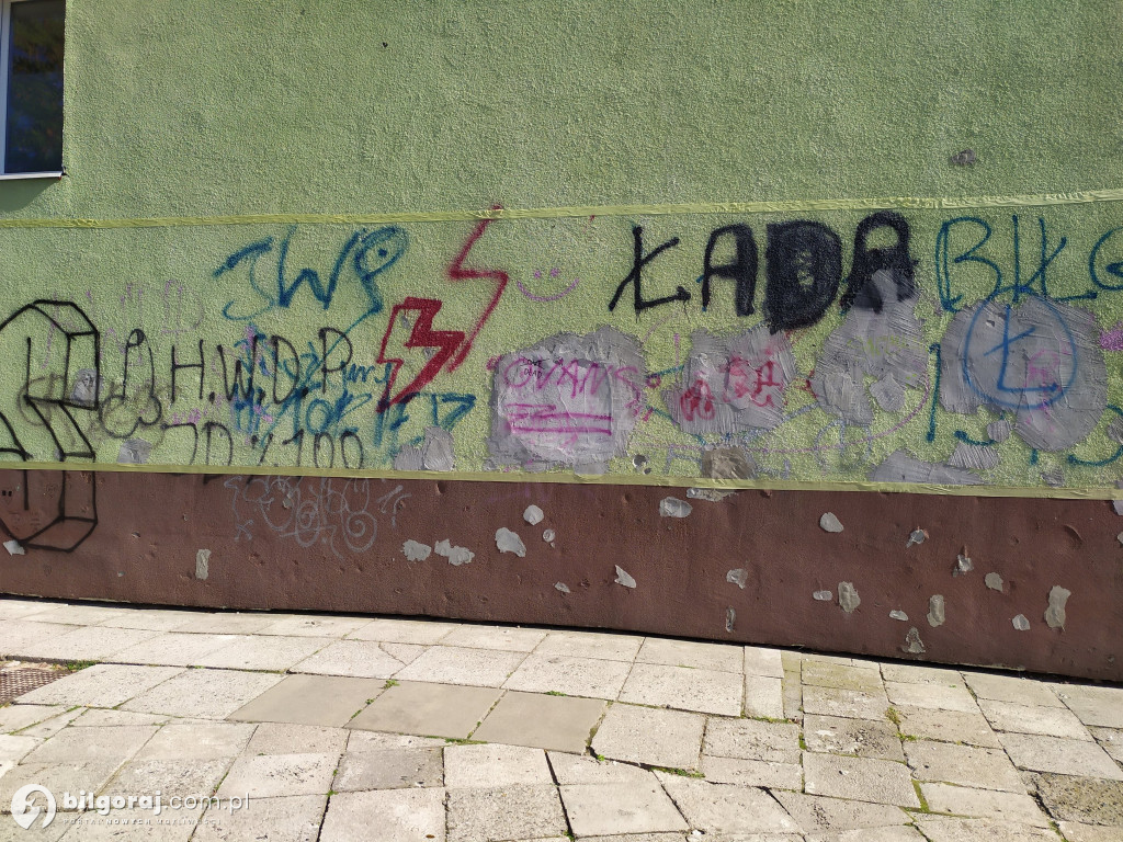 Zamiast wulgaryzmów powstało kolorowe graffiti. Zmalowali je byli uczniowie 