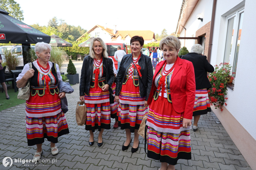 EkoLogiczni - przygotowanie do konferencji