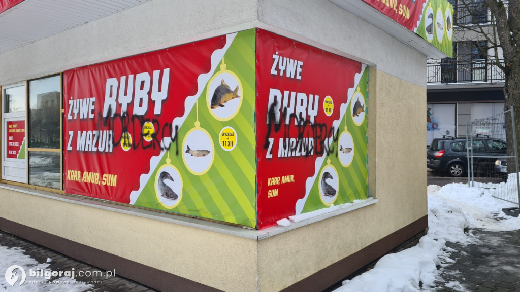 Atak ekologicznych aktywistów czy zwykłych wandali. Kto stanął w obronie karpi?