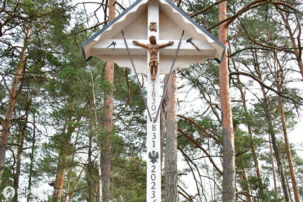 Ku czci powstańców listopadowych
