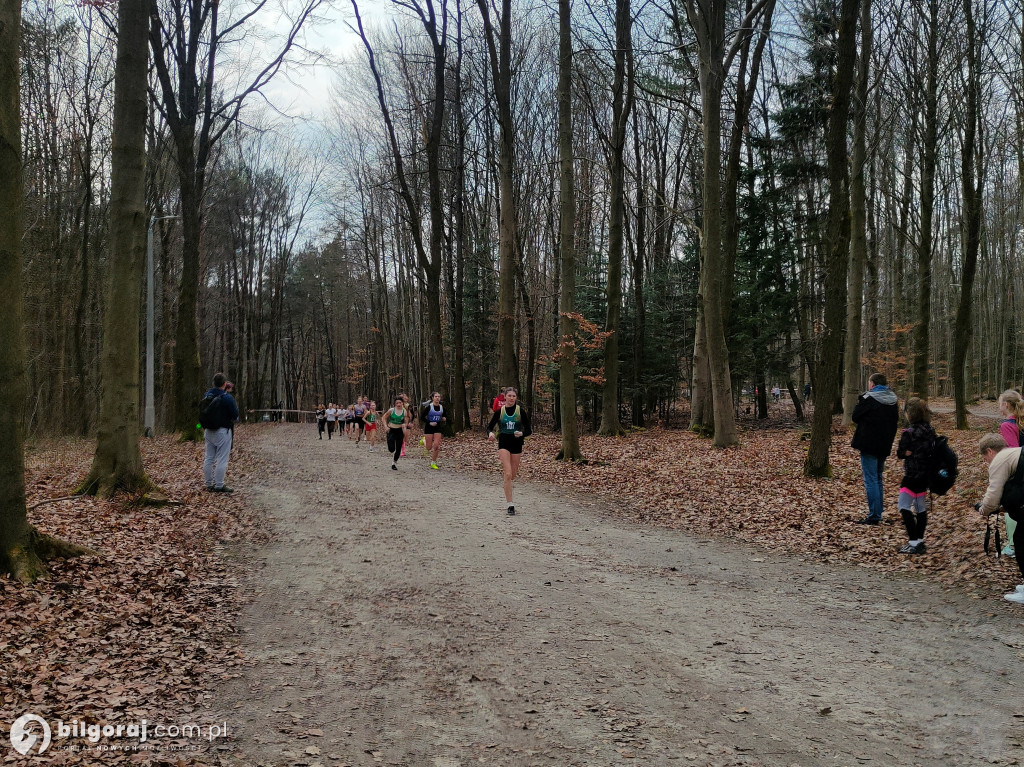 Udane występy naszych biegaczy