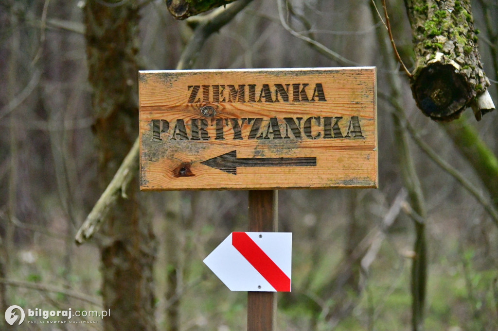 W Osuchach otwarto ścieżkę przyrodniczo - historyczną