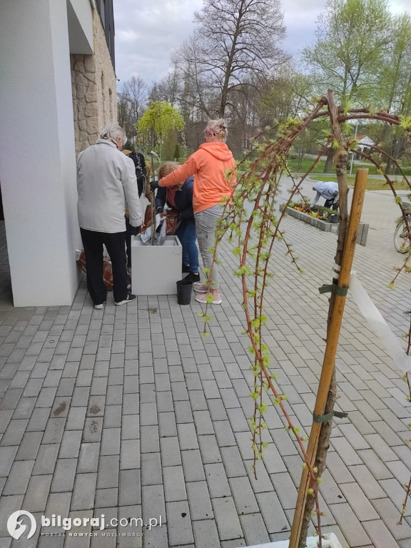 Wspólne sadzenie drzew w Dylach