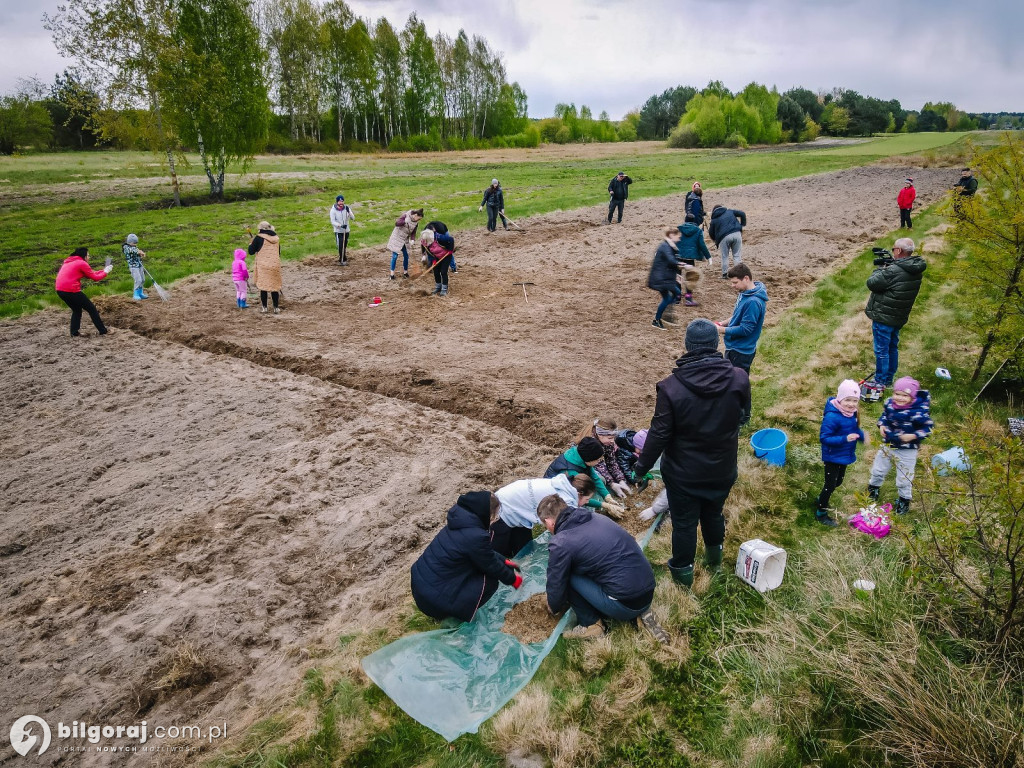Horytków Duży gmina Biłgoraj: Wysiali kwietną łąkę