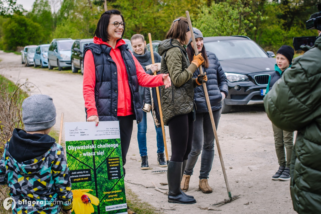 Horytków Duży gmina Biłgoraj: Wysiali kwietną łąkę