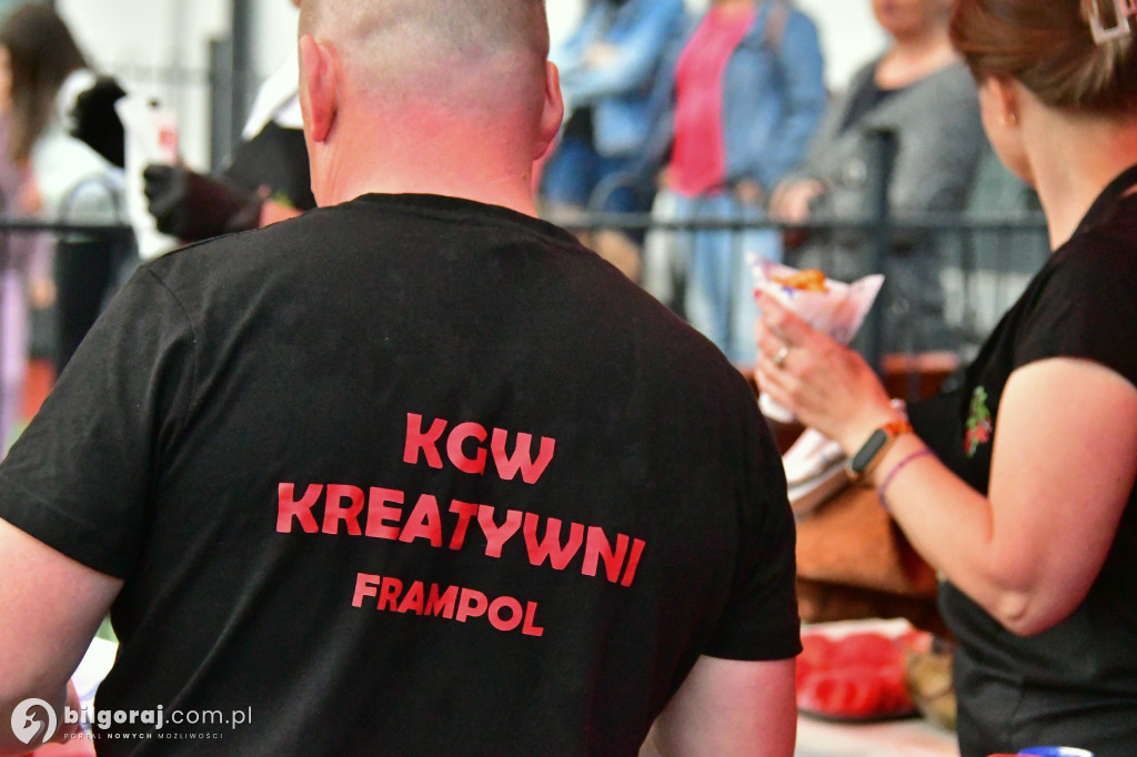 Kreatywni z Frampolu zorganizowali festyn dla dzieci i potańcówkę!