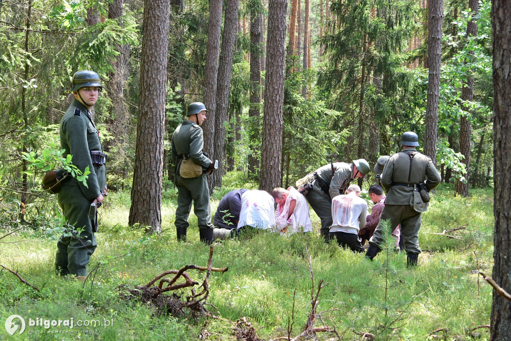 Inspenizacja historyczna niemieckiego mordu polkisch partyzantów