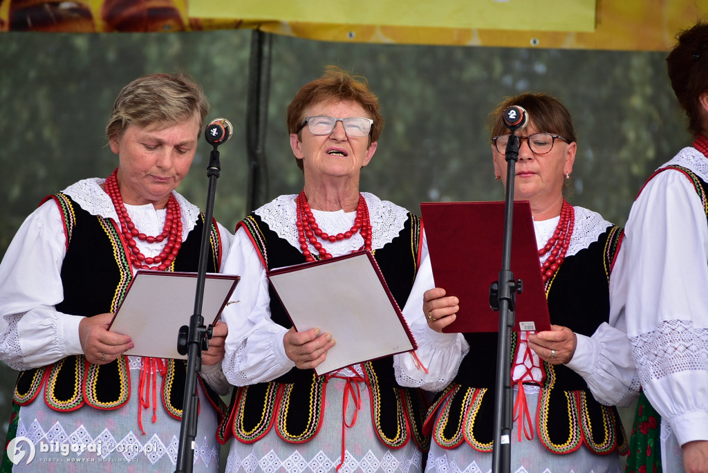 Biszcza świętowała Dzień Miodu i Pieroga!