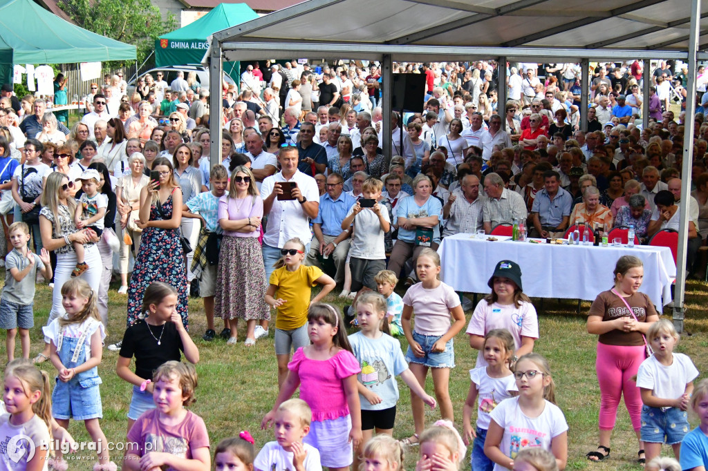 Kulturowa uczta w Górecku Kościelnym: Festiwal Maryjny
