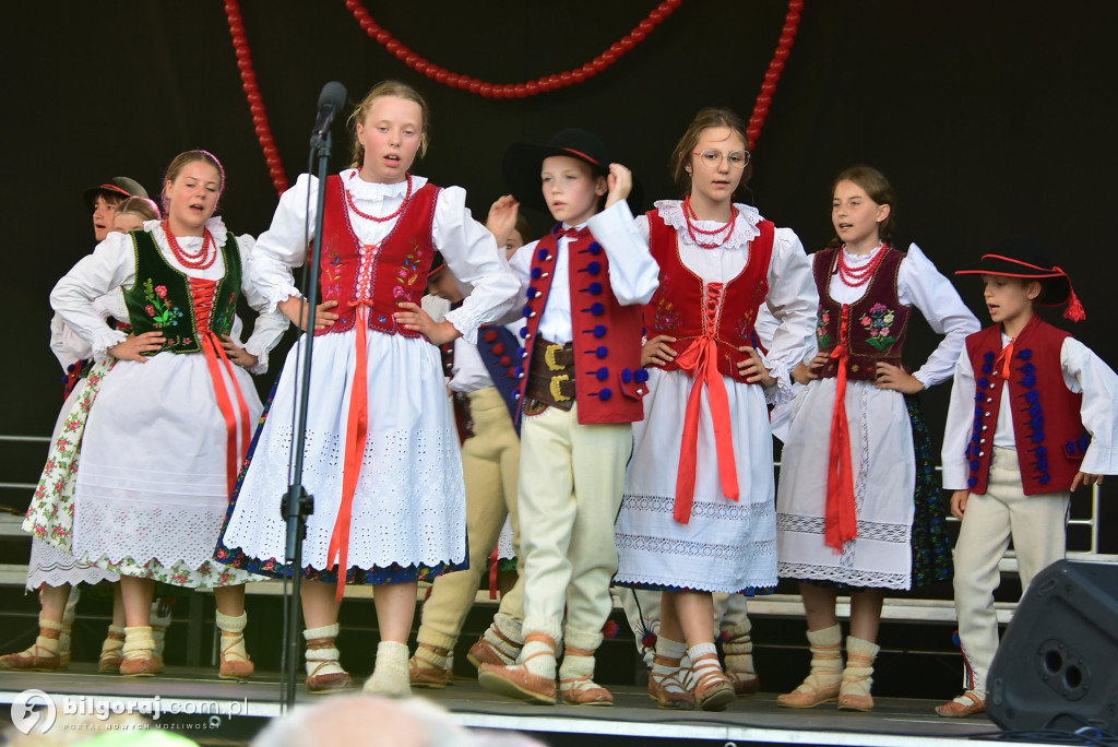 Góralskie brzmienia w Biłgoraju: Koncert zespołu Hulajniki