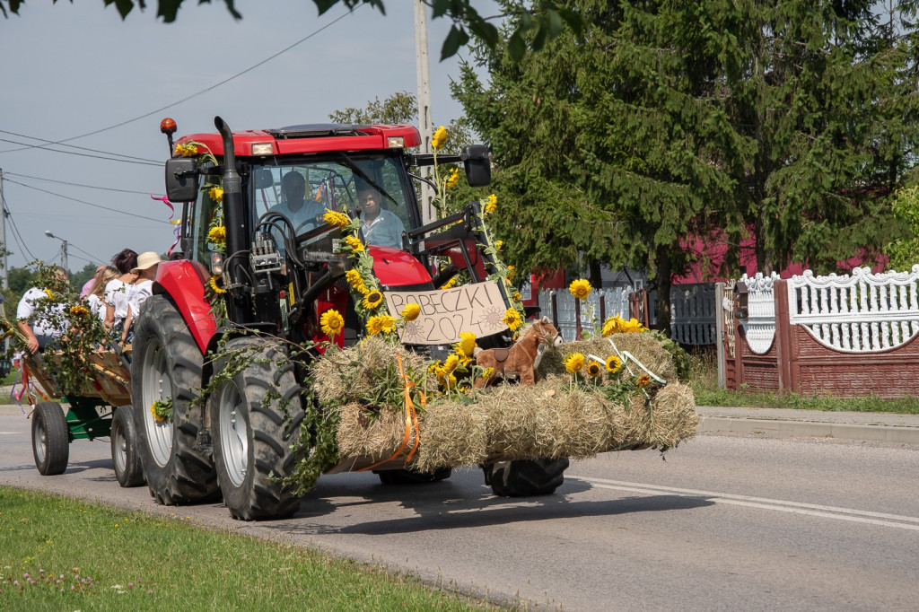 Święto plonów w Tereszpolu: Korowód, Msza św. i występy artystyczne