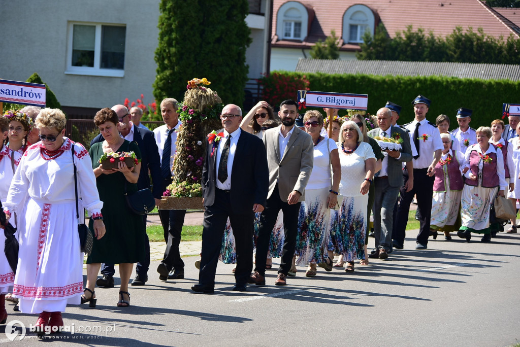 Dożynki powiatu biłgorajskiego w Obszy: Święto plonów i wdzięczności