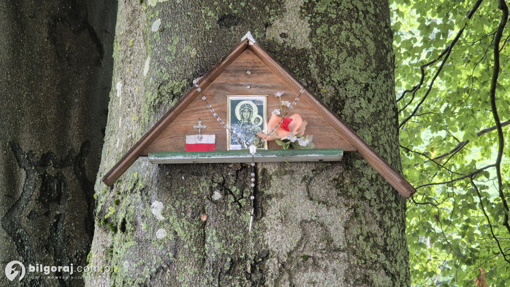161 lat temu miała miejsce Bitwa pod Panasówką