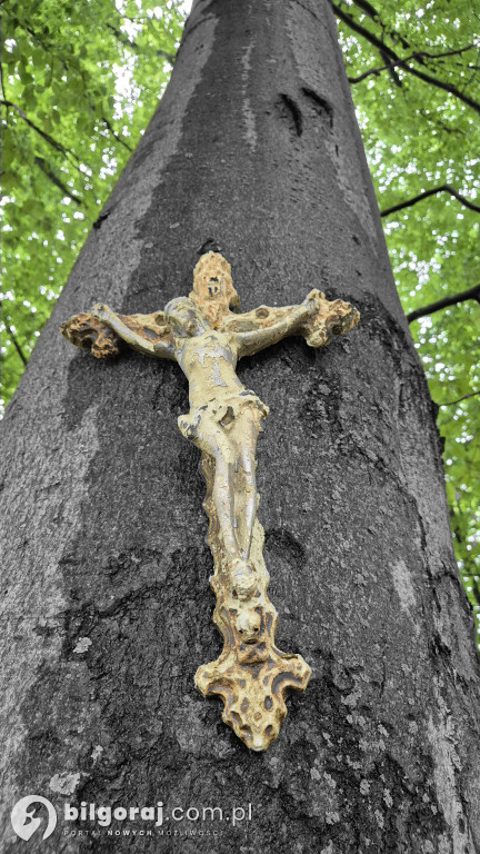 161 lat temu miała miejsce Bitwa pod Panasówką