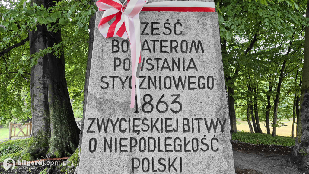 161 lat temu miała miejsce Bitwa pod Panasówką