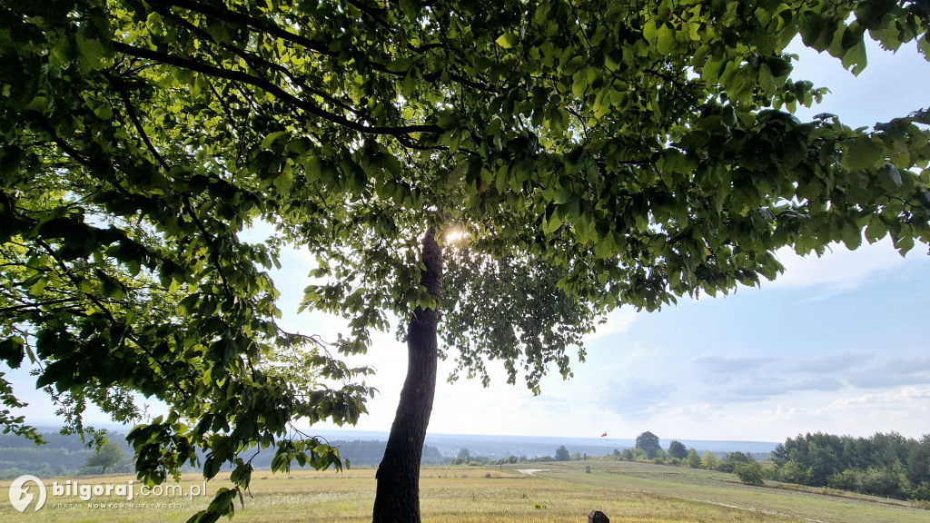 161 lat temu miała miejsce Bitwa pod Panasówką