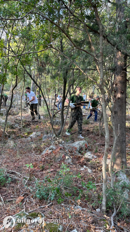 Praktyki zawodowe Leśników w Chorwacji