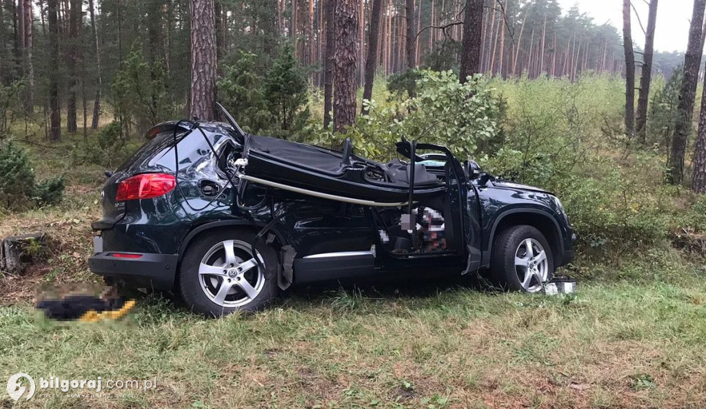 W Volkswagena uderzyło złamane drzewo