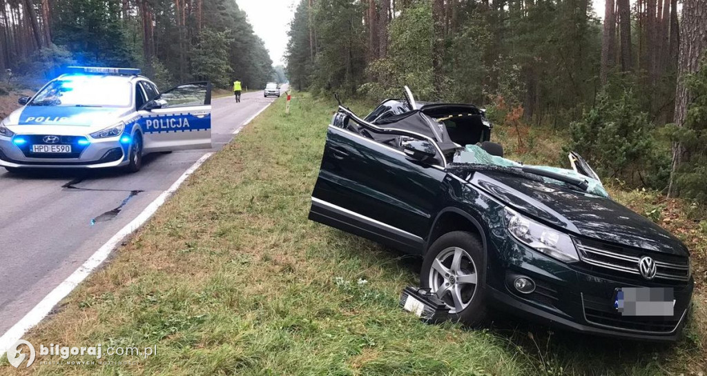 W Volkswagena uderzyło złamane drzewo
