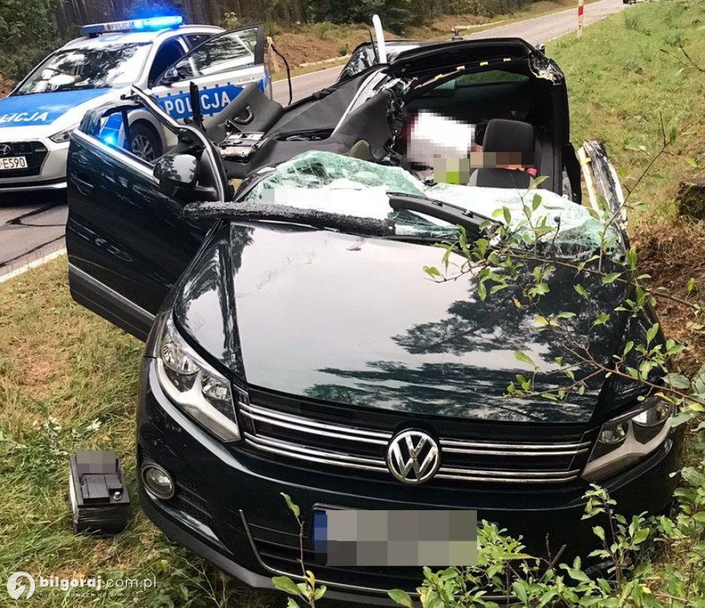 W Volkswagena uderzyło złamane drzewo