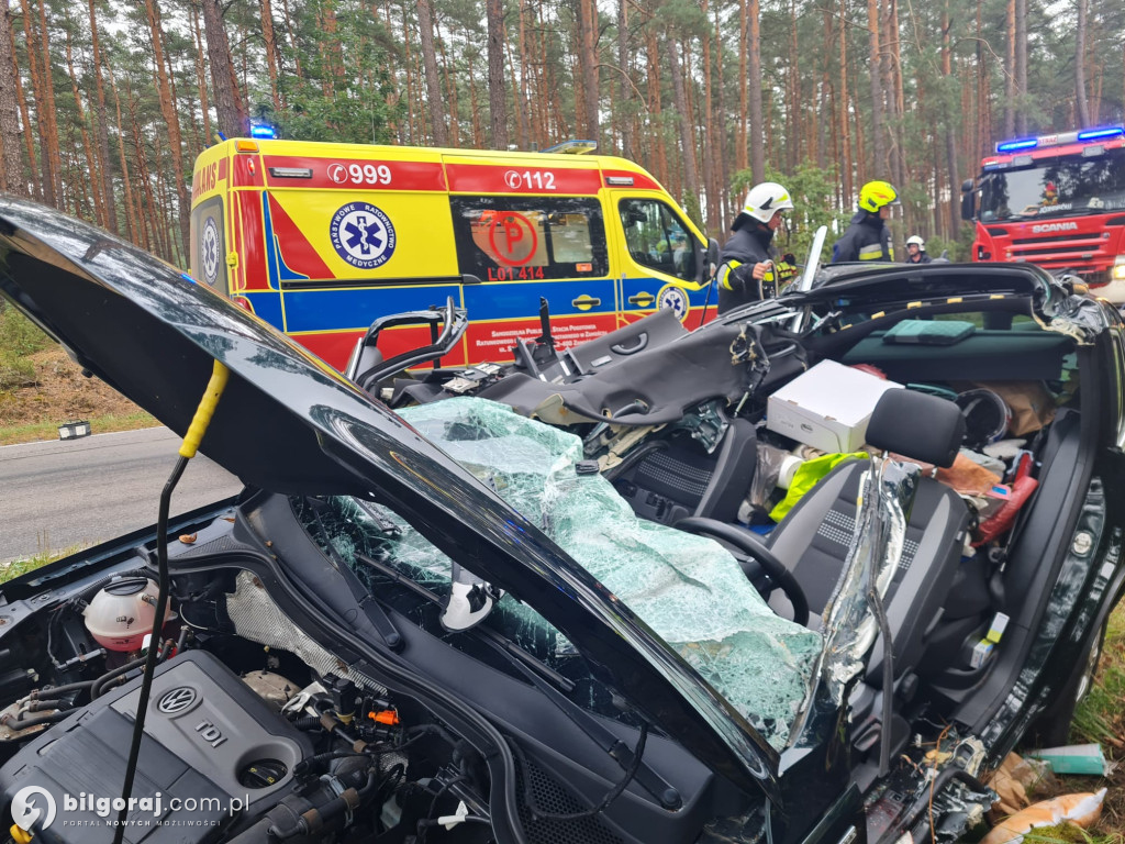 W Volkswagena uderzyło złamane drzewo