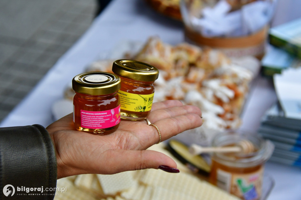 Rodzinny Piknik Europejski w Biłgoraju: Zabawa, edukacja i atrakcje dla każdego