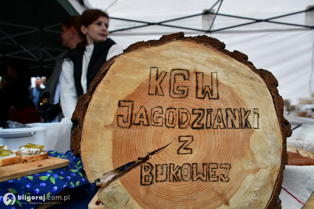 Rodzinny Piknik Europejski w Biłgoraju: Zabawa, edukacja i atrakcje dla każdego