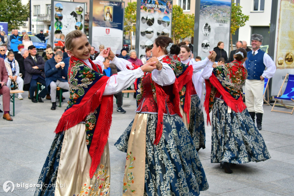 Rodzinny Piknik Europejski w Biłgoraju: Zabawa, edukacja i atrakcje dla każdego
